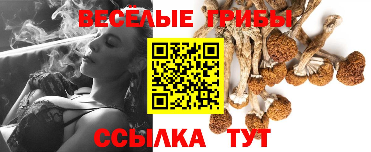 Славянск-на-Кубани  Галлюциногенные грибы GOLDEN TEACHER  Вход с VPN 