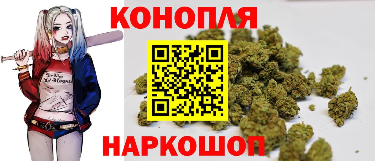Славянск-на-Кубани  Каннабис конопля  Марихуана планчик  Марихуана планчик  Вход с VPN 